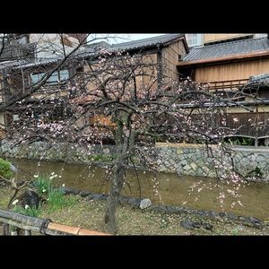 Meet your Posher, Janet